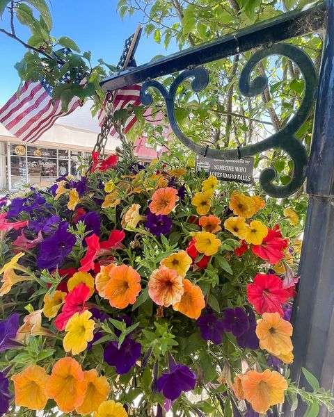 2 Lamppost Bundles (Wreath & Hanging Flower Basket)