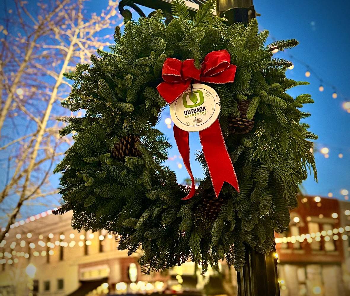 2 Holiday Wreaths