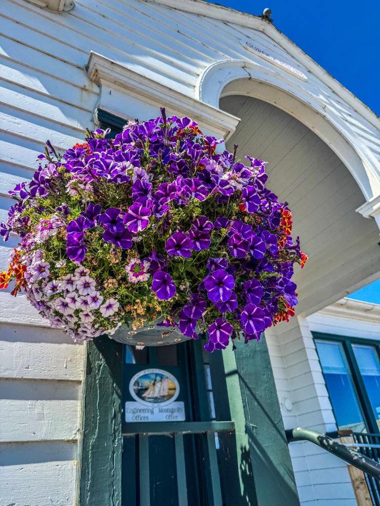 Flower Basket Sponsor