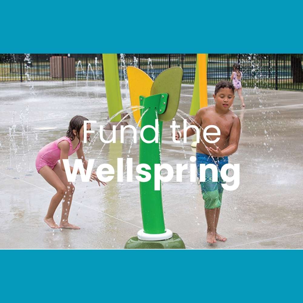 Fund the Wellspring