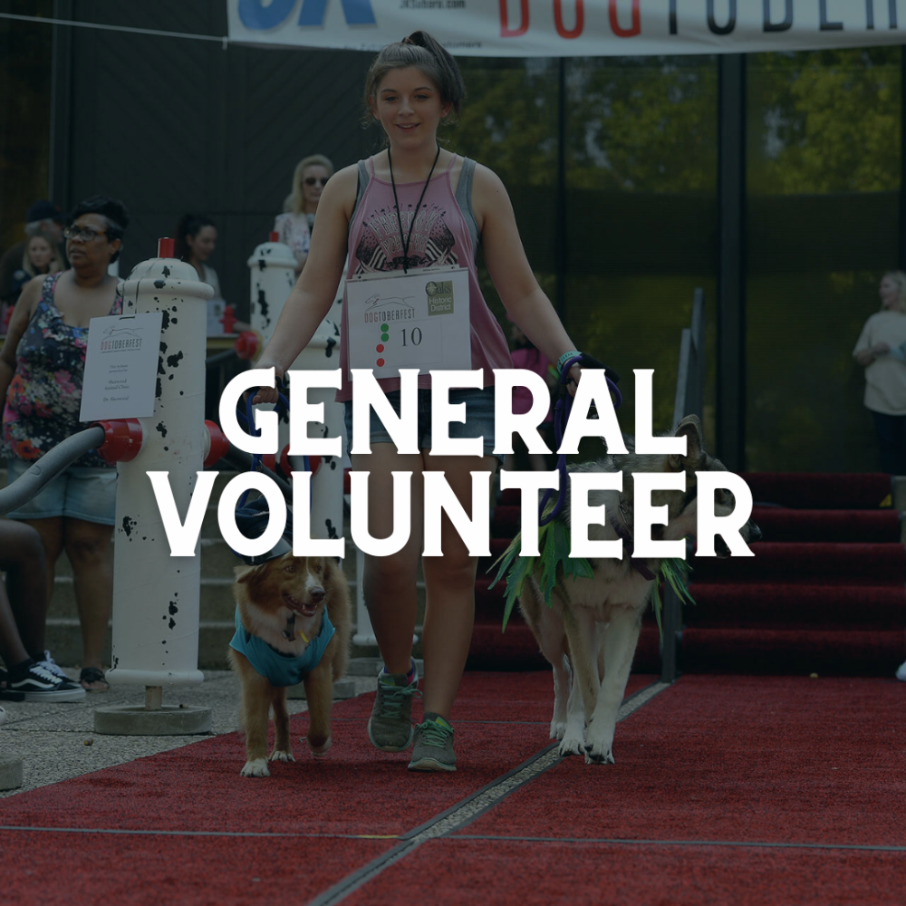 General Event Volunteer