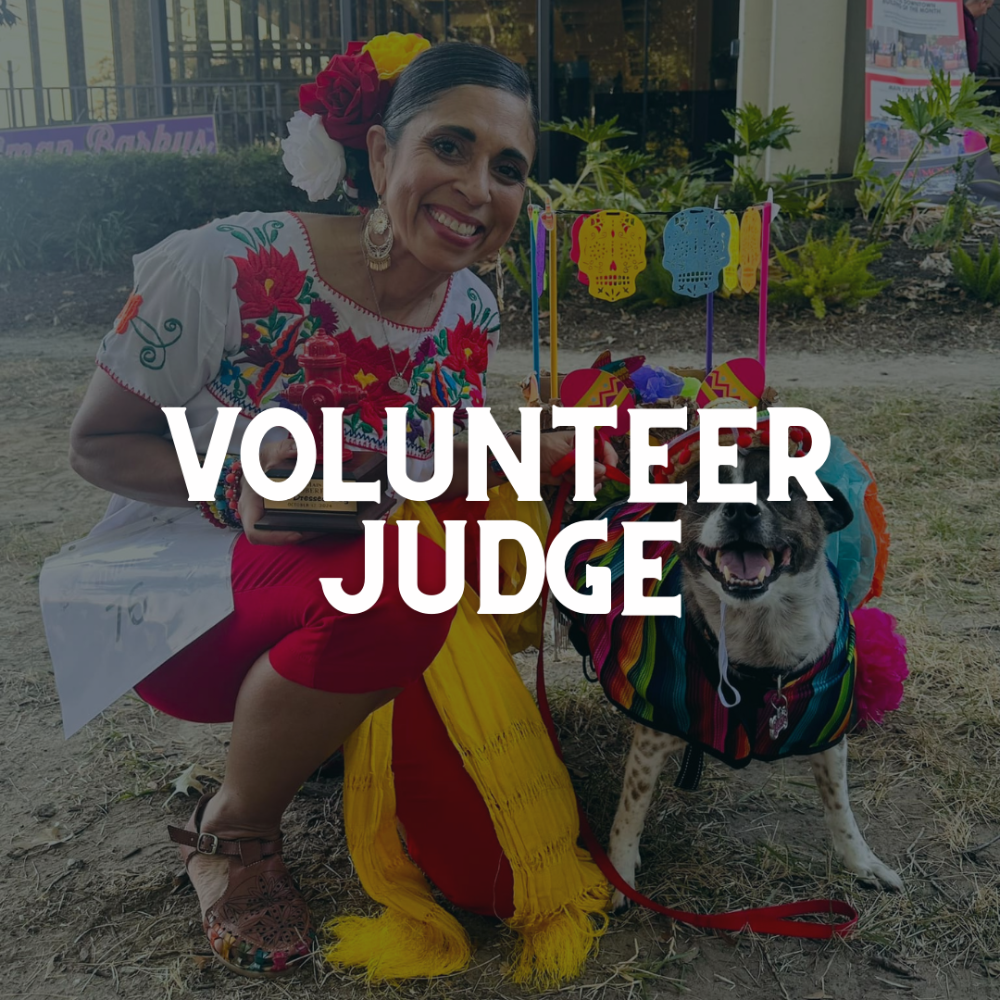 Volunteer Judge