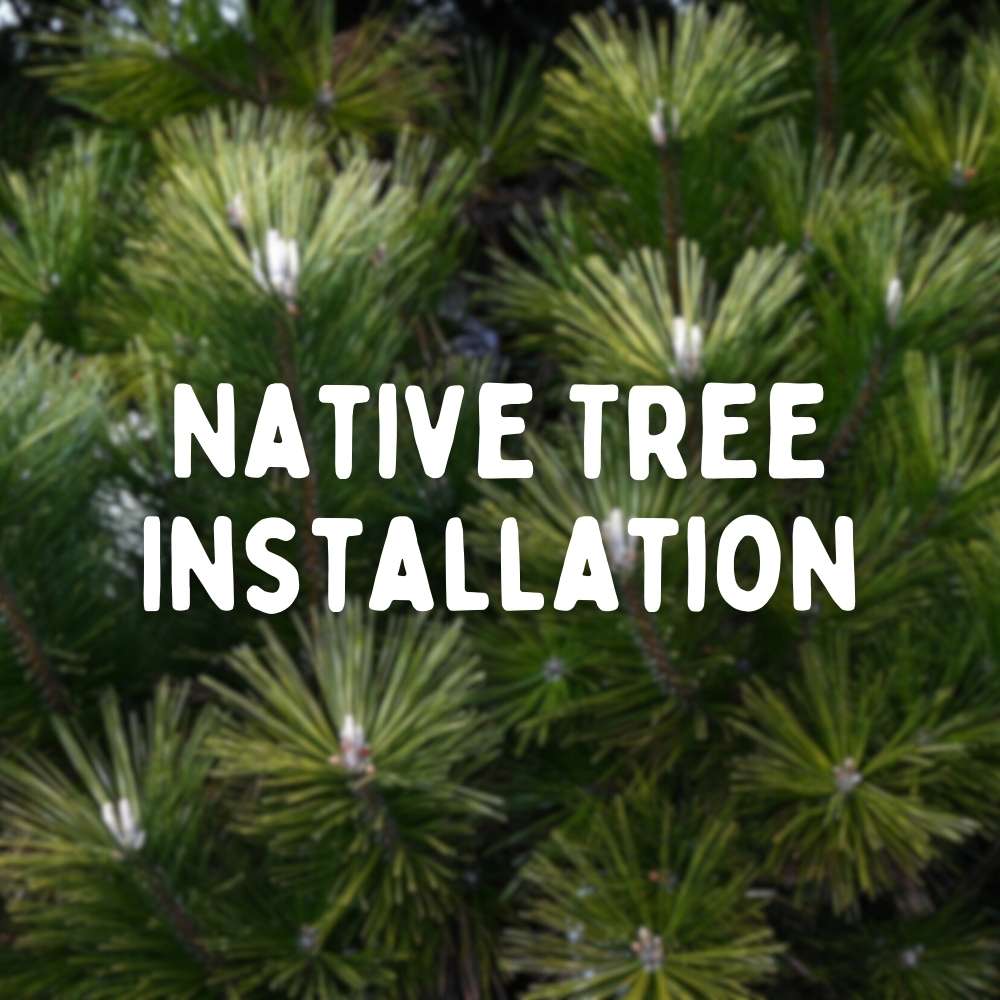 Native Tree Installation