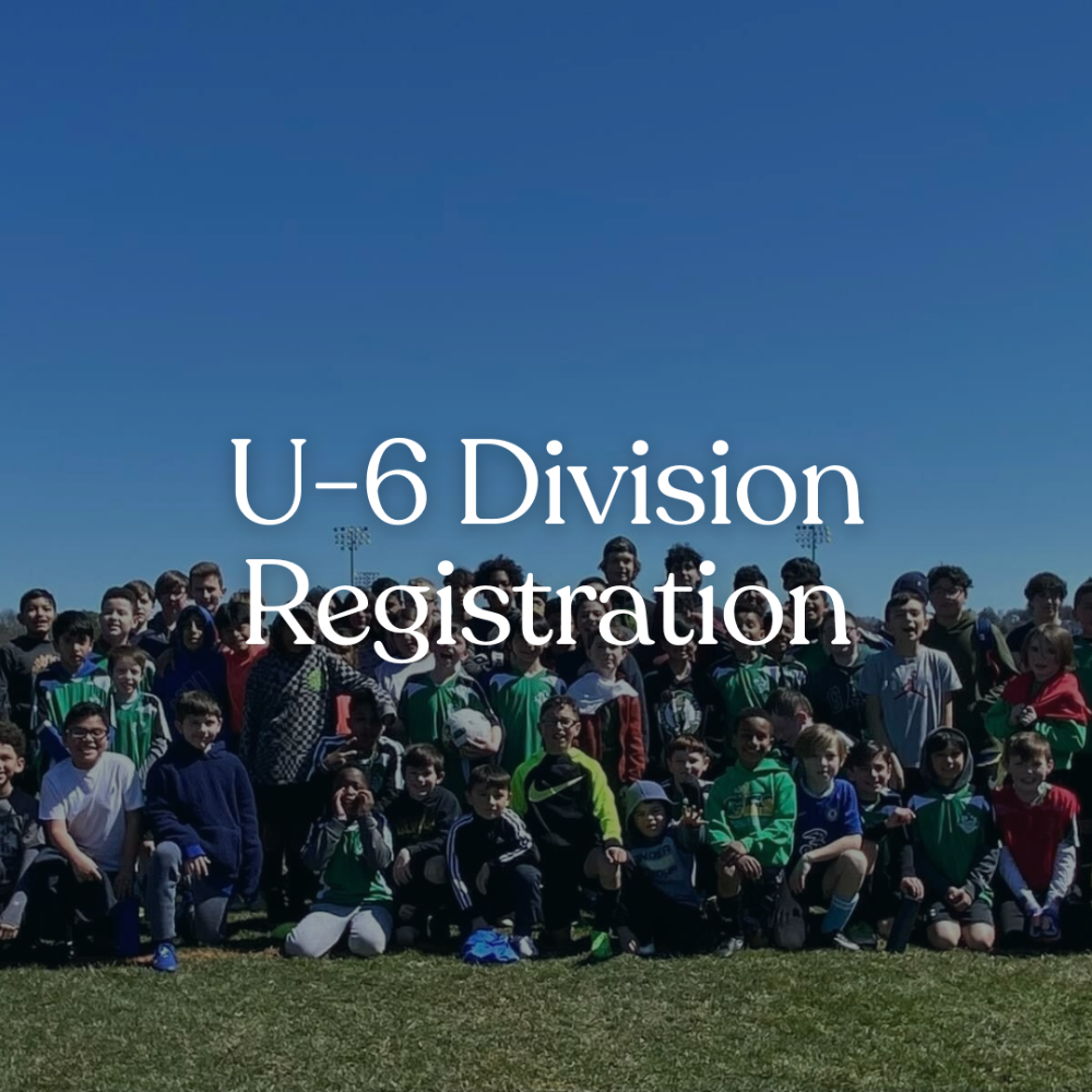 U-6 Division (birth year 2020/2021) Registration - Early Bird