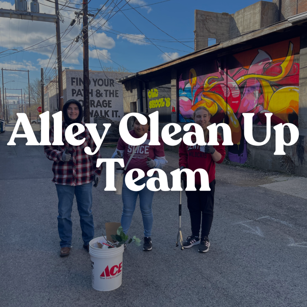 Alley Clean Up Team