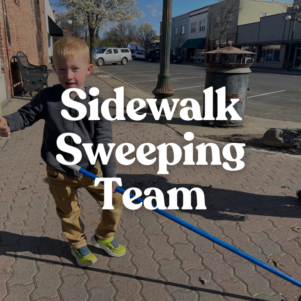 Sidewalk Sweeping Team