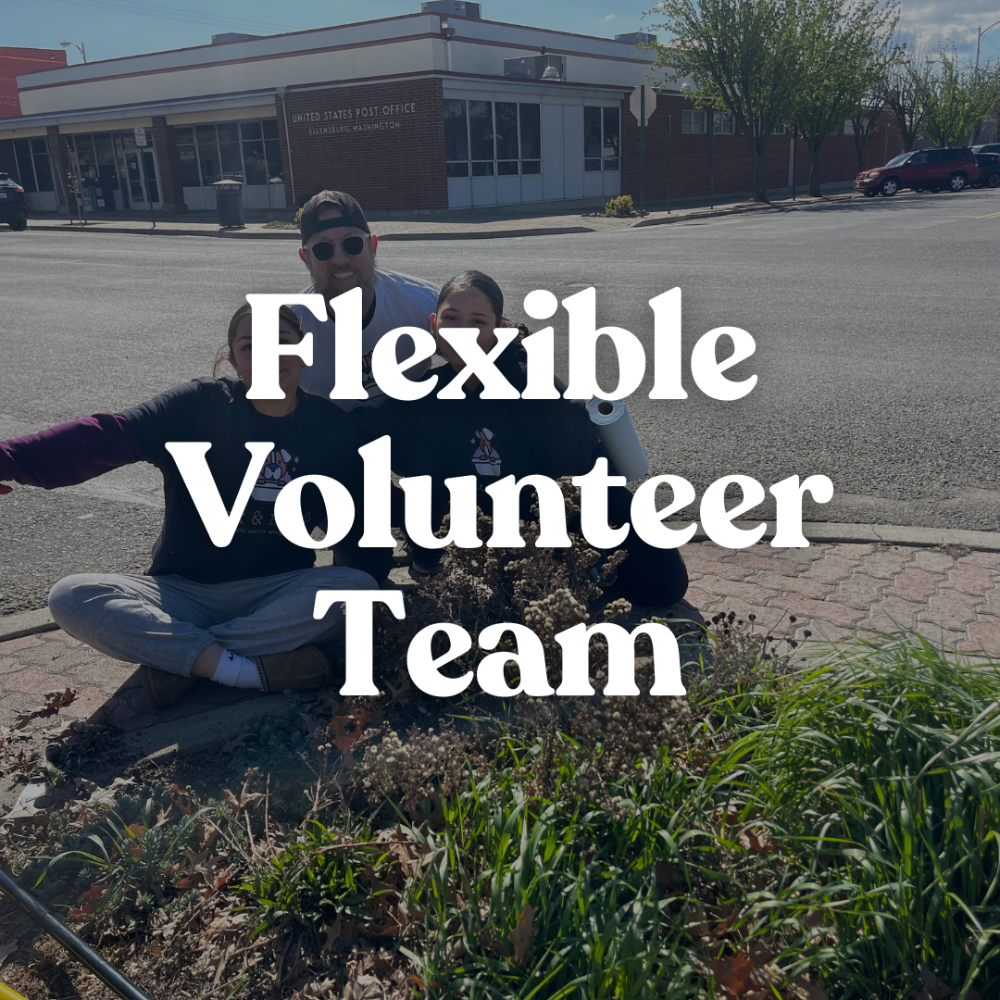 Flexible Volunteer Team