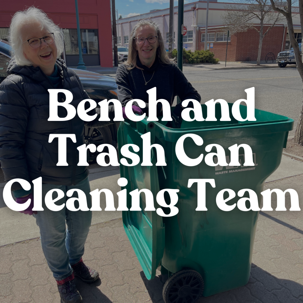 Bench and Trash Can Cleaning Team