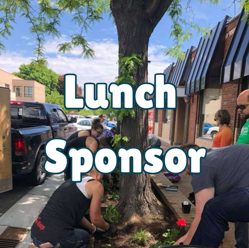 Volunteer Lunch Sponsor