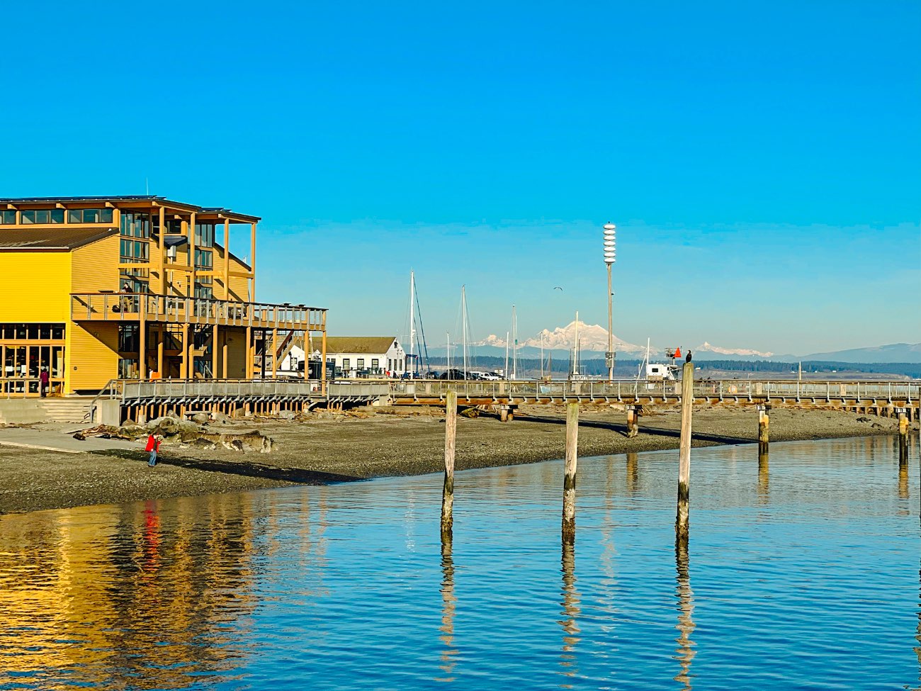 Business/Community Leader