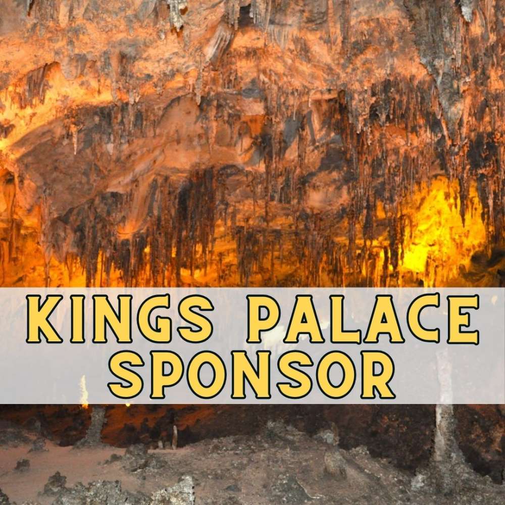 Kings Palace Sponsor