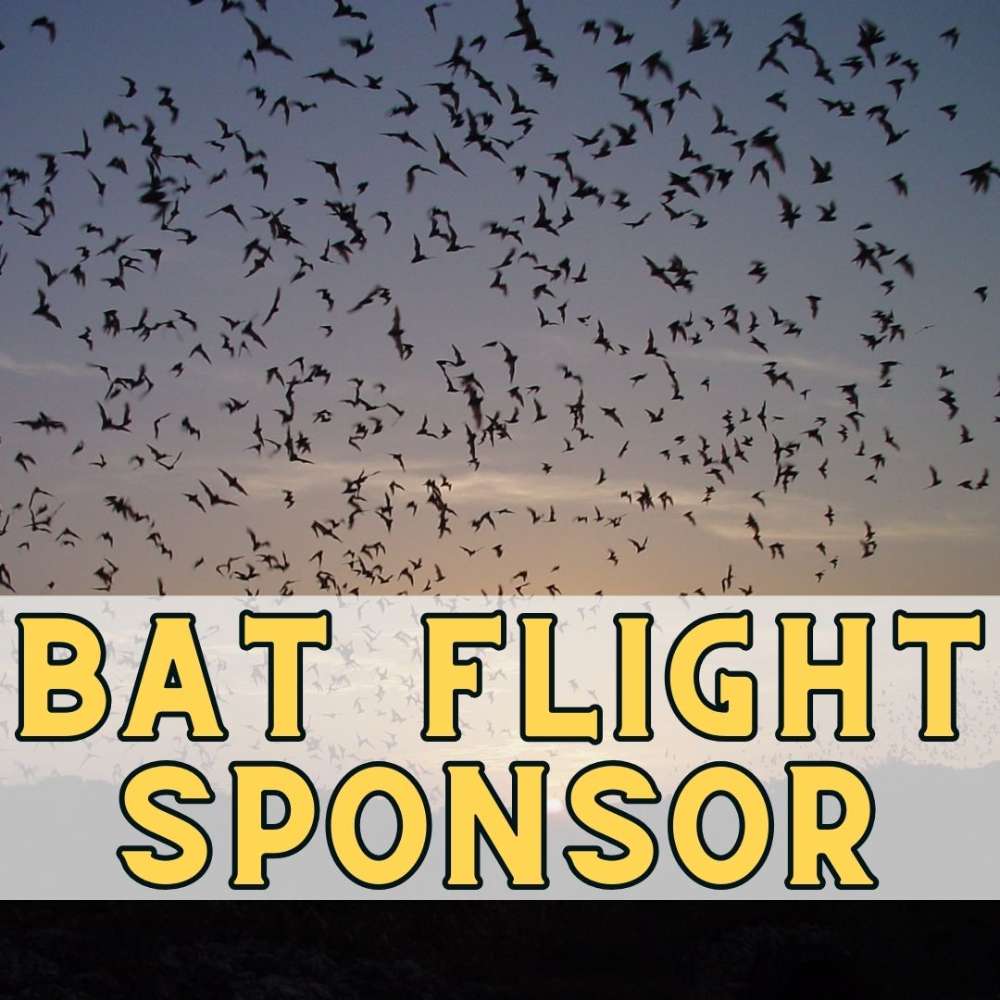 Bat Flight Sponsor