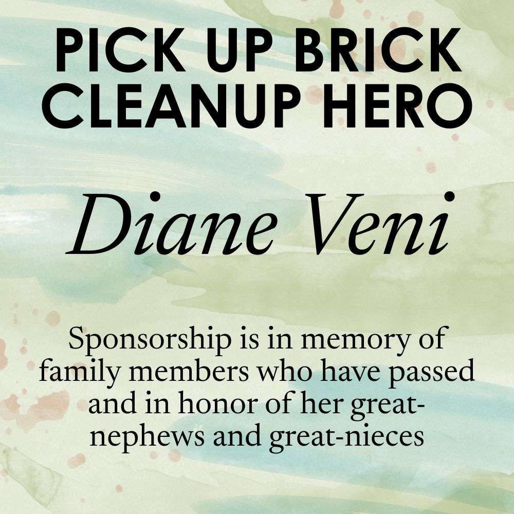Pick Up Brick Cleanup Hero