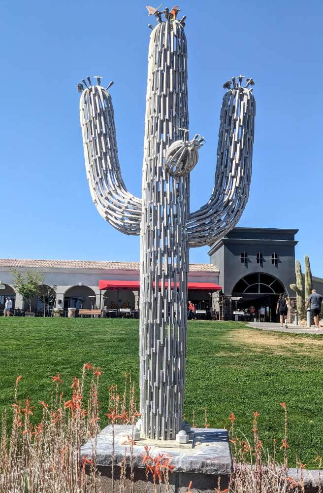 Spirit of the Saguaro