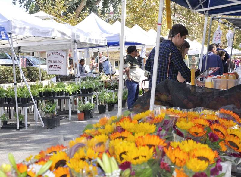 General Vendor Application - All 4th Saturdays