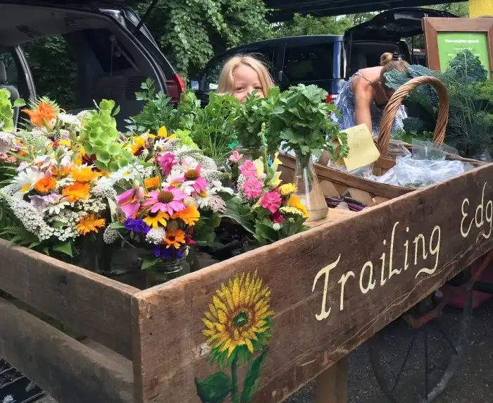 General Vendor Application - All Dates