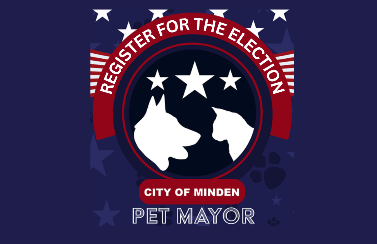 REGISTER for the ELECTION