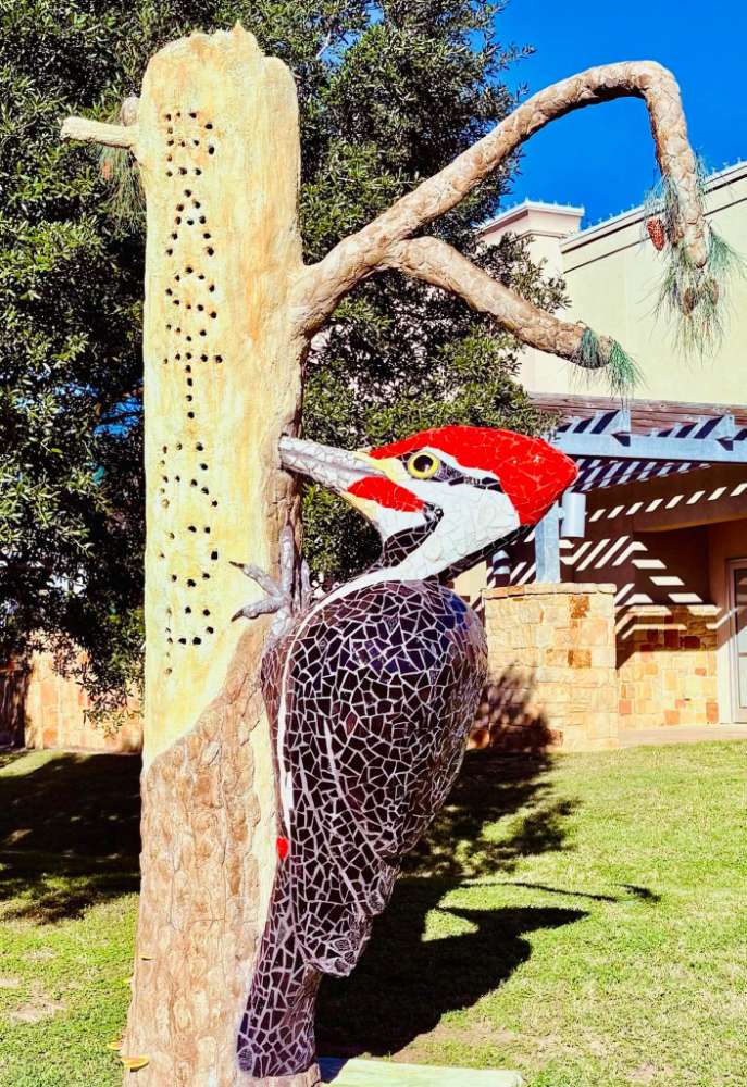 Pileated Woodpecker