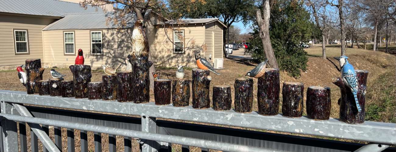 Backyard Birds