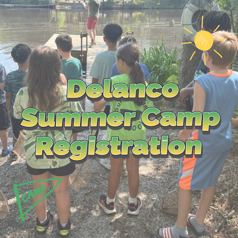 Summer Camp Registration