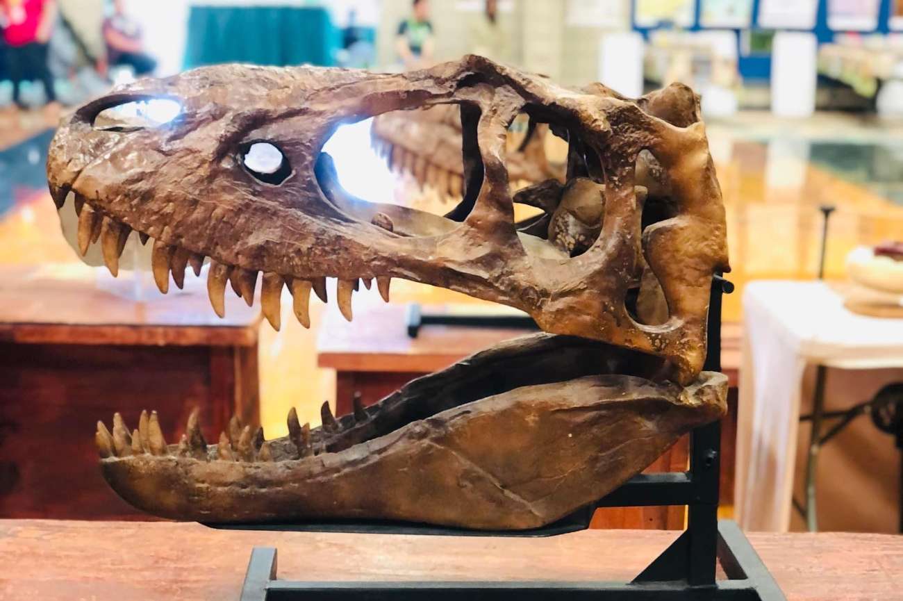 Public Admission – Wednesday, May 13