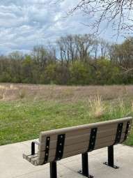 Existing Bench at Hoffman Park (Facing North into Hoffman Park)
