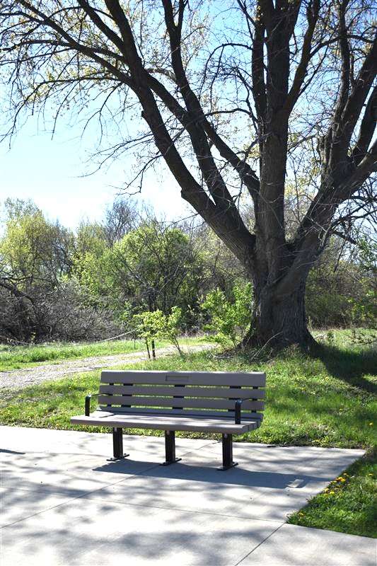 Existing Bench at Hoffman Park (Rte. 31 Trail)