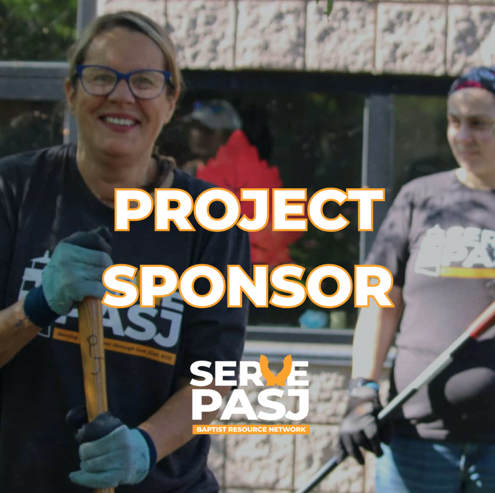 Project Sponsor