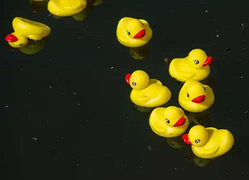 Lucky Duck - Single Duck 