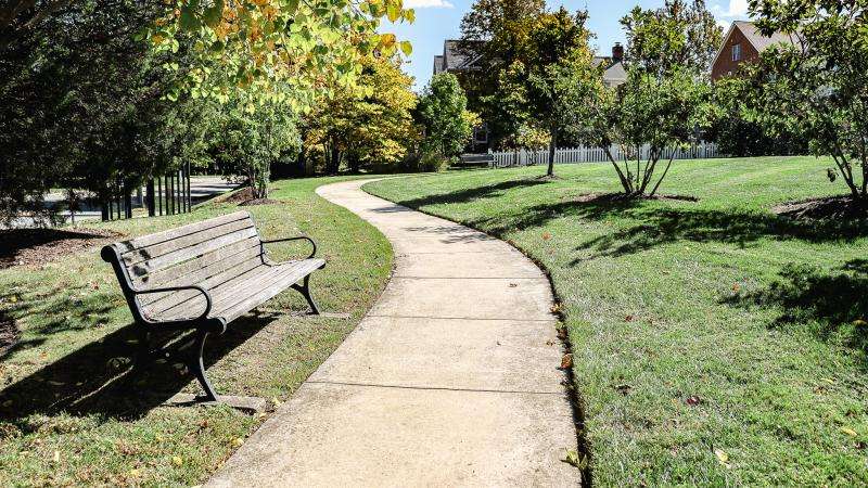Park Cleanups