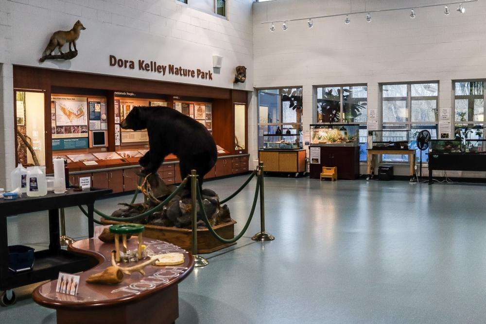 Visitor Experience Volunteer - Interest
