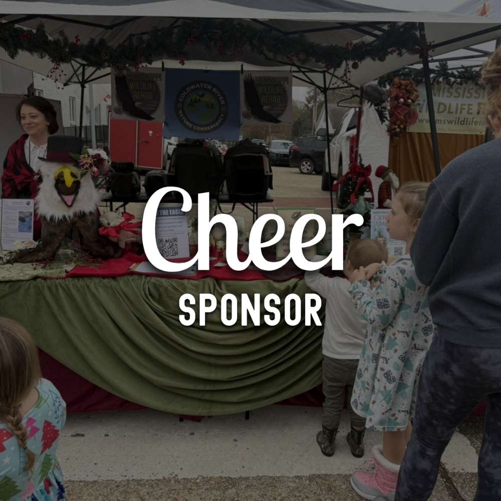 Cheer Sponsor