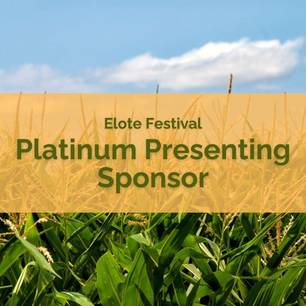 Platinum Sponsor