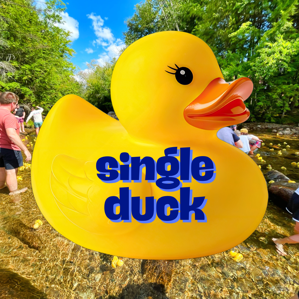 Single Duck