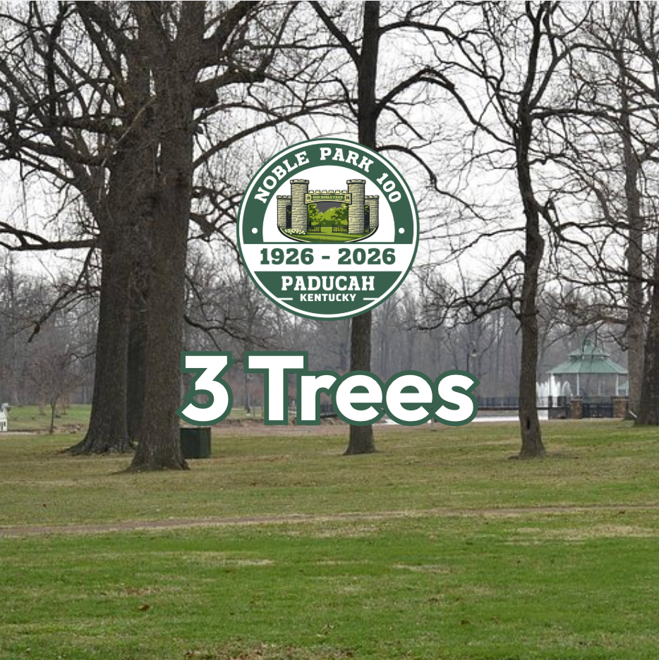 3 Tree Sponsorship
