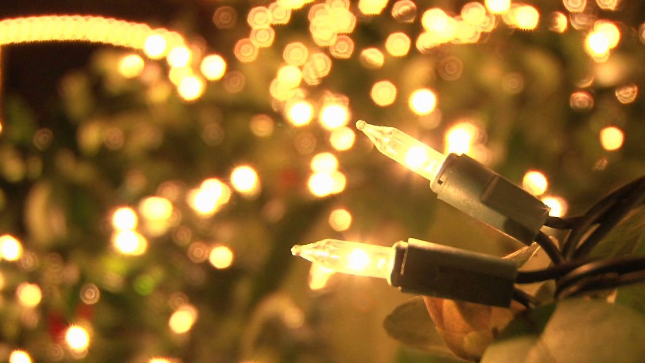 Holiday Gift Sponsor