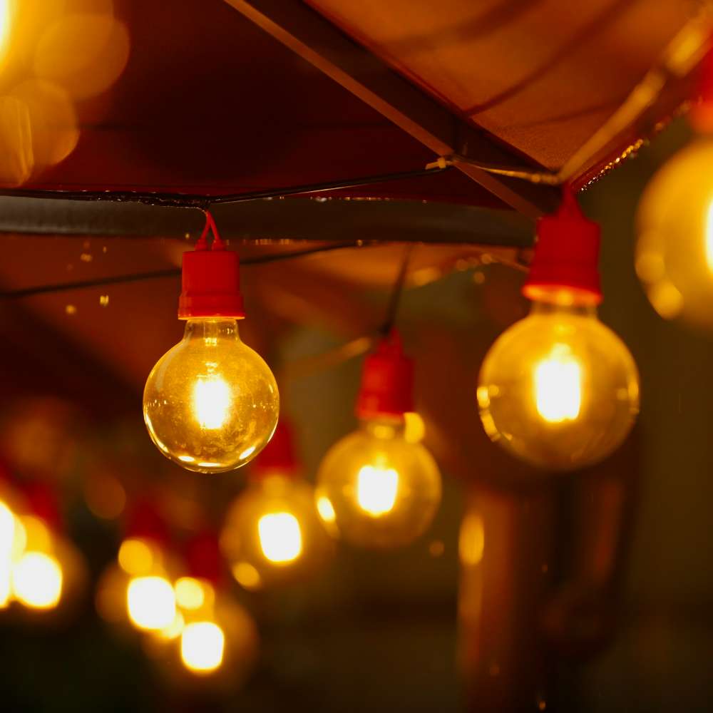 Christmas at the Park Presenting Sponsor