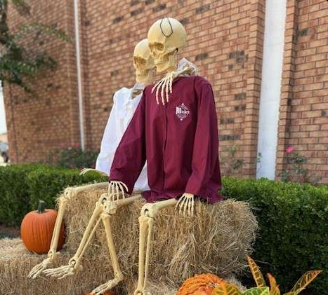 Two Skeletons