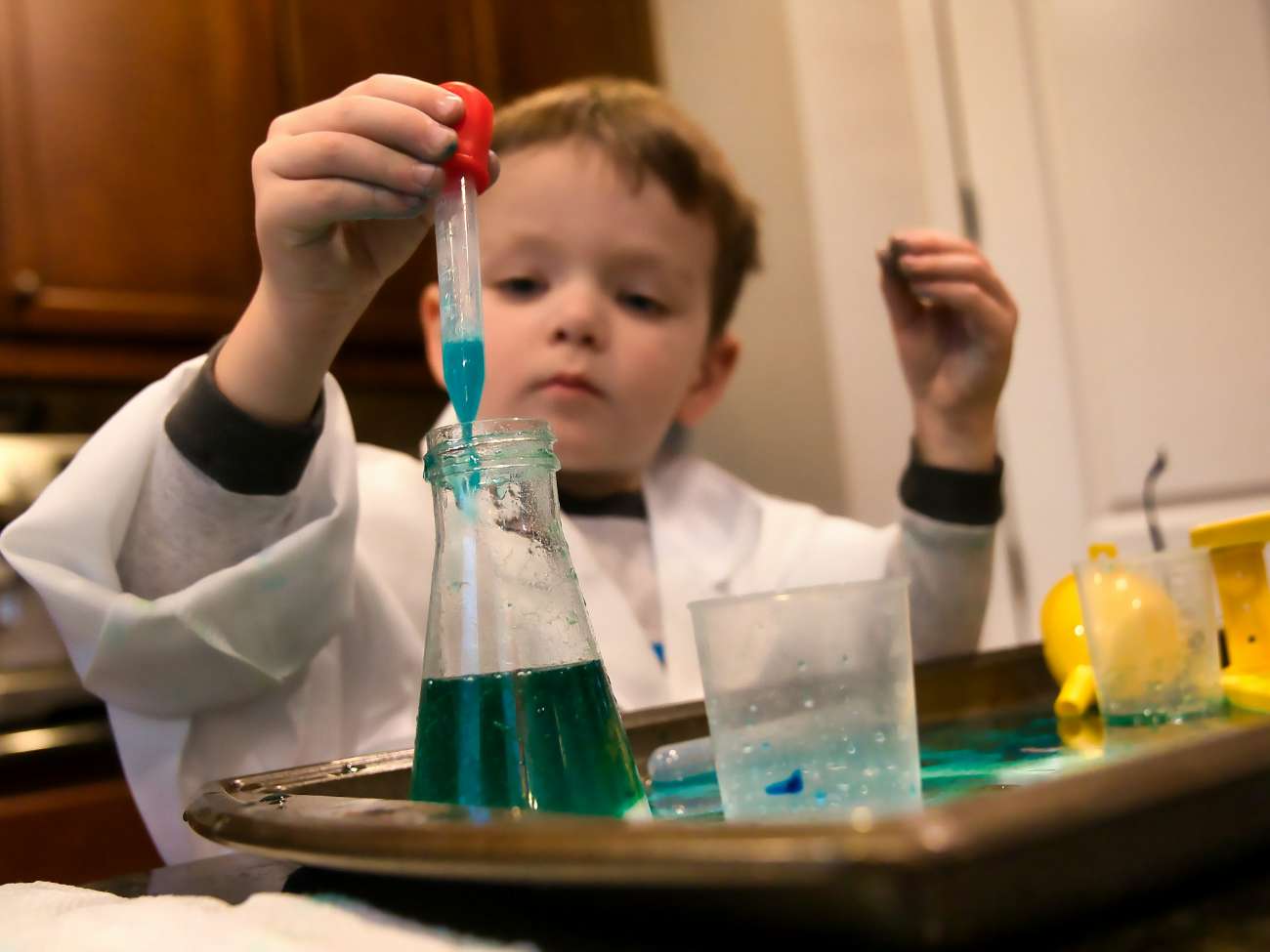 Microscopic Worlds (Ages 8–13)