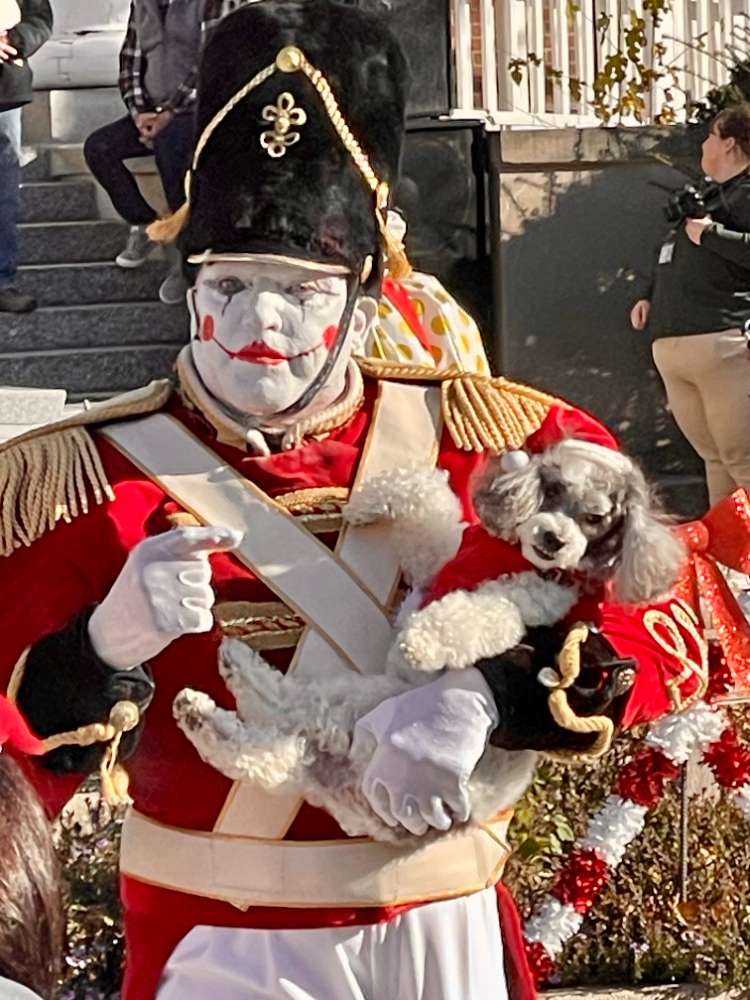 Toy Soldier Sponsor