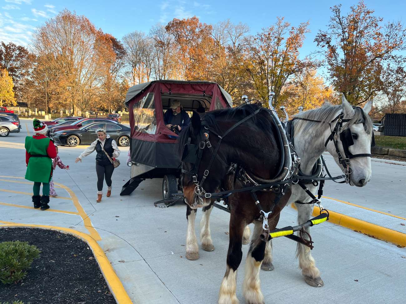 Horse & Carriage Rides Sponsor