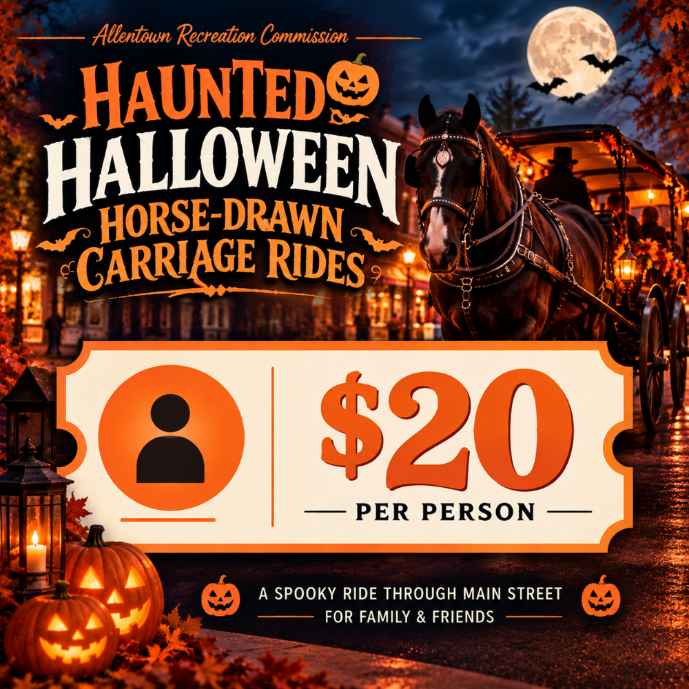 7:40 PM Carriage Ride