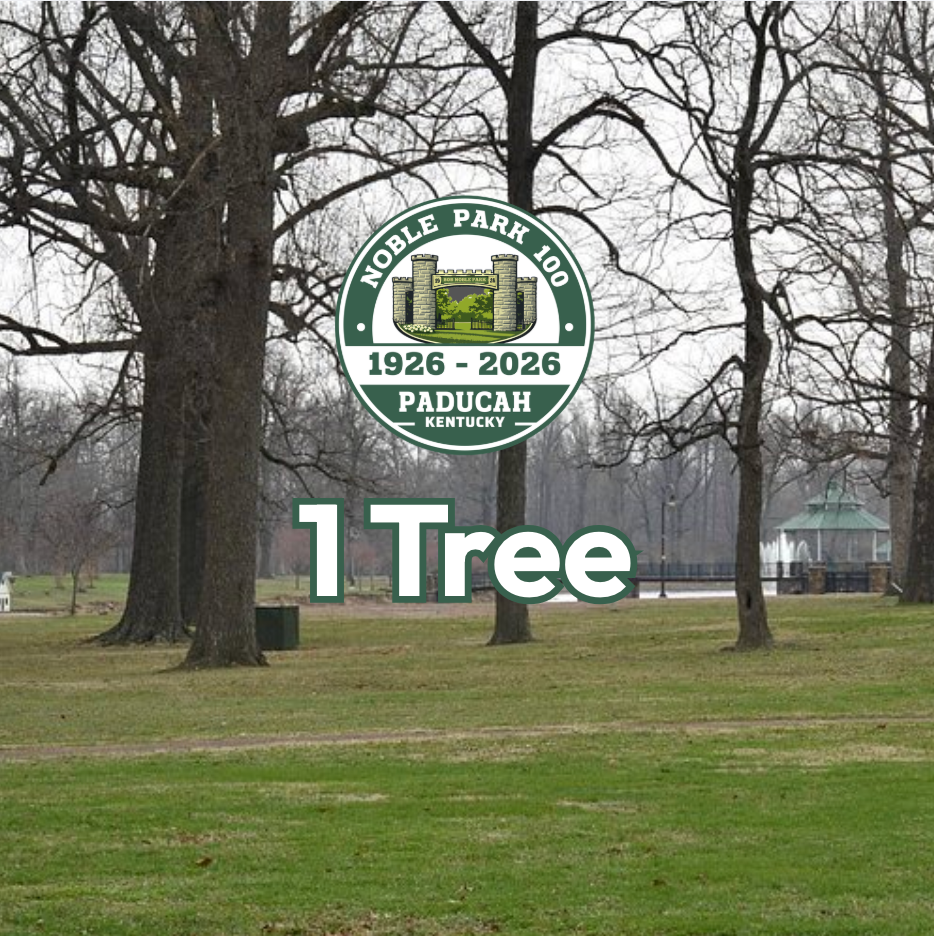 1 Tree Sponsorship