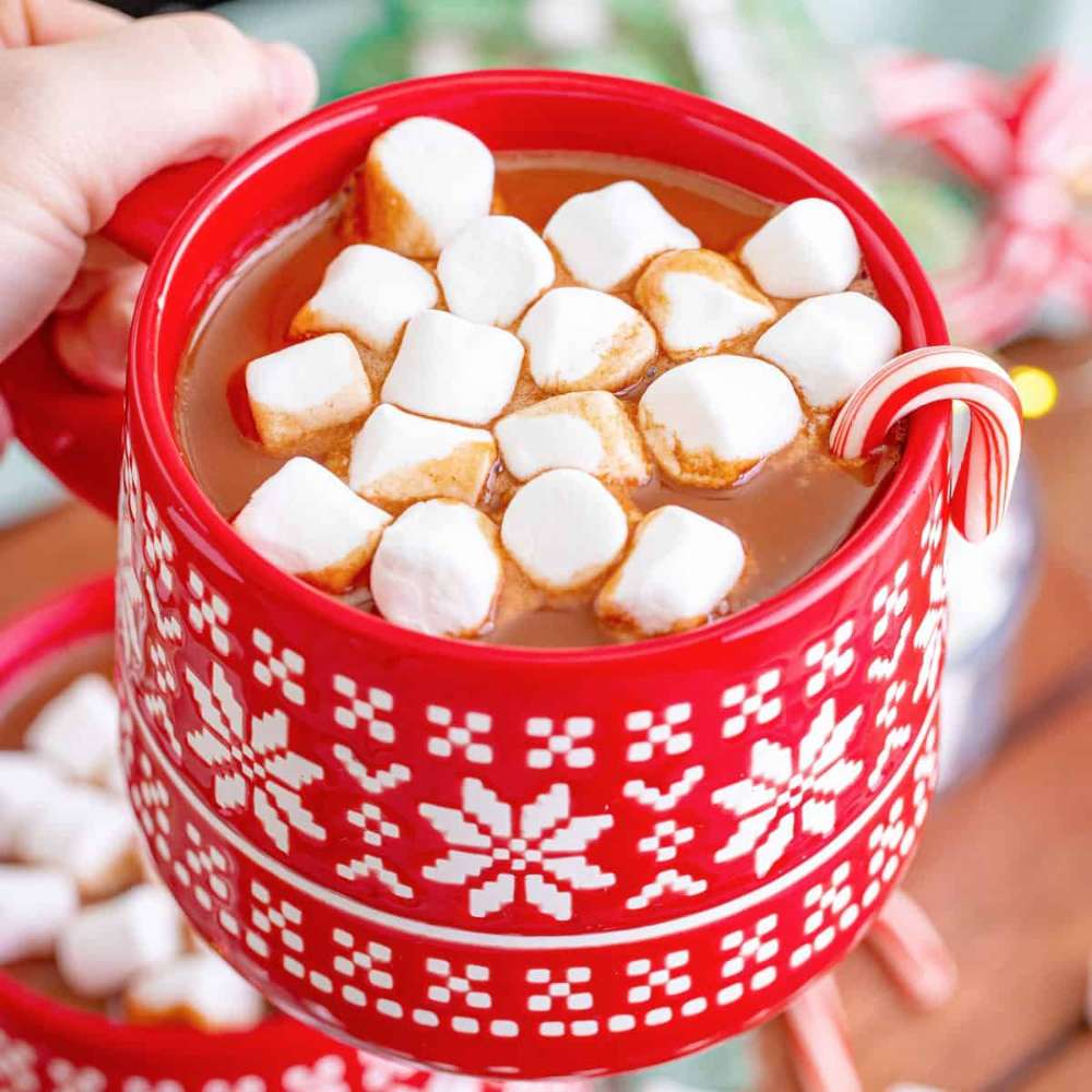 Hot Chocolate Sponsor
