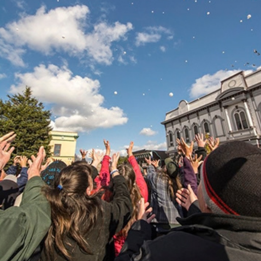 Participating Business - Snowball Drop