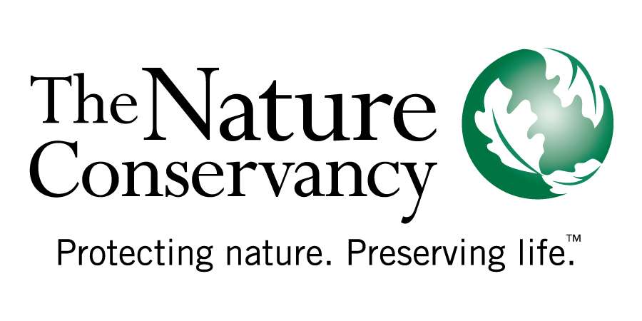1 Tree Sponsorship